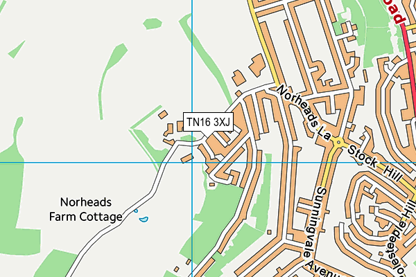 TN16 3XJ map - OS VectorMap District (Ordnance Survey)