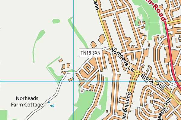 TN16 3XN map - OS VectorMap District (Ordnance Survey)