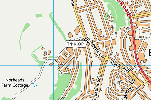 TN16 3XP map - OS VectorMap District (Ordnance Survey)