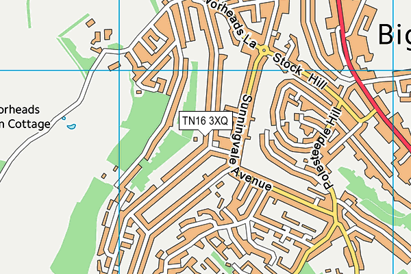 TN16 3XQ map - OS VectorMap District (Ordnance Survey)