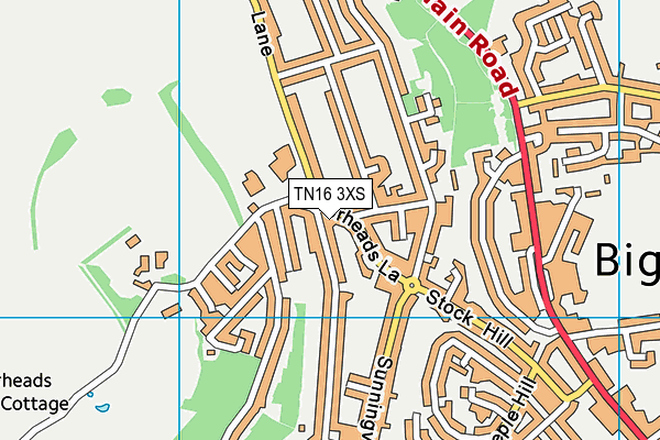 TN16 3XS map - OS VectorMap District (Ordnance Survey)