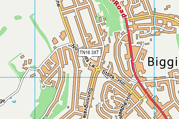 TN16 3XT map - OS VectorMap District (Ordnance Survey)