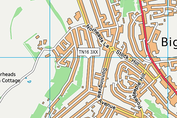 TN16 3XX map - OS VectorMap District (Ordnance Survey)