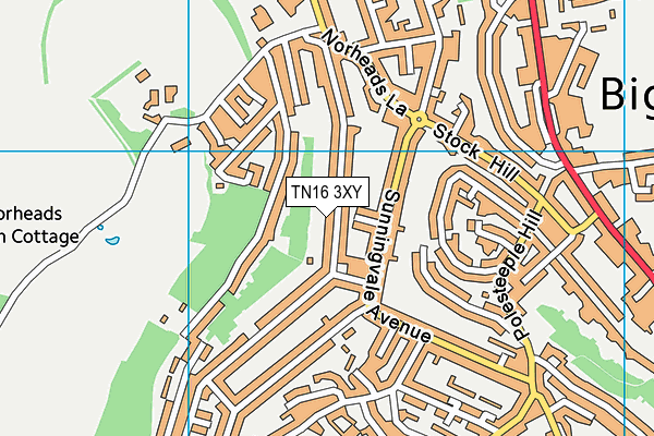 TN16 3XY map - OS VectorMap District (Ordnance Survey)