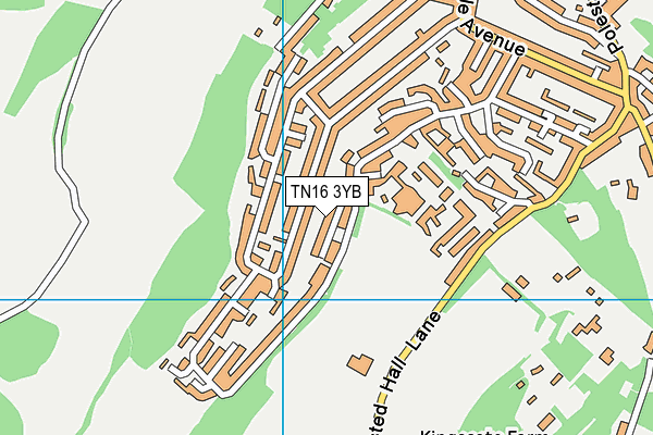 TN16 3YB map - OS VectorMap District (Ordnance Survey)