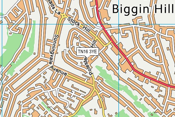 TN16 3YE map - OS VectorMap District (Ordnance Survey)