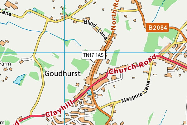 TN17 1AS map - OS VectorMap District (Ordnance Survey)