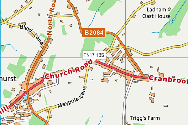 TN17 1BS map - OS VectorMap District (Ordnance Survey)