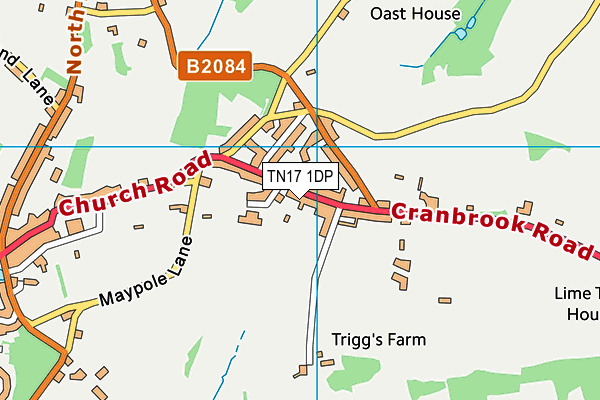 TN17 1DP map - OS VectorMap District (Ordnance Survey)