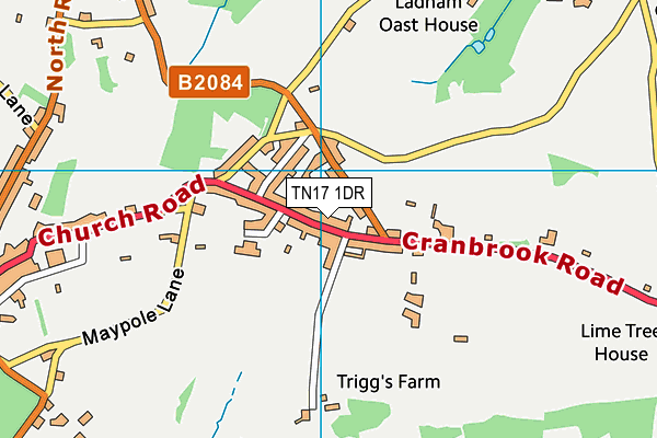 TN17 1DR map - OS VectorMap District (Ordnance Survey)