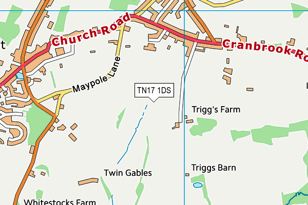 TN17 1DS map - OS VectorMap District (Ordnance Survey)