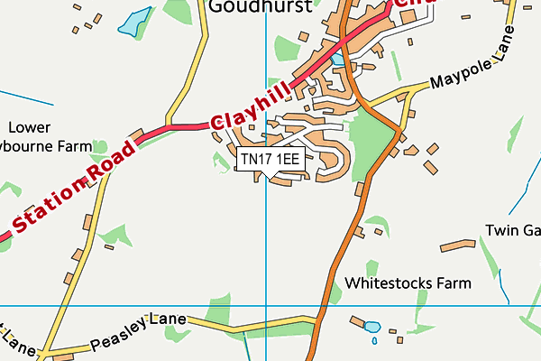 TN17 1EE map - OS VectorMap District (Ordnance Survey)