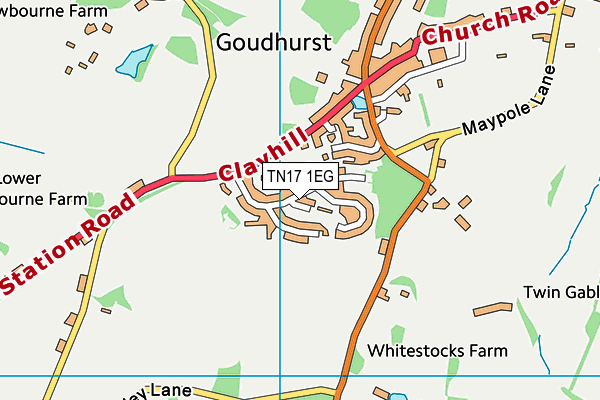 TN17 1EG map - OS VectorMap District (Ordnance Survey)