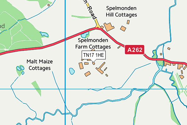 TN17 1HE map - OS VectorMap District (Ordnance Survey)