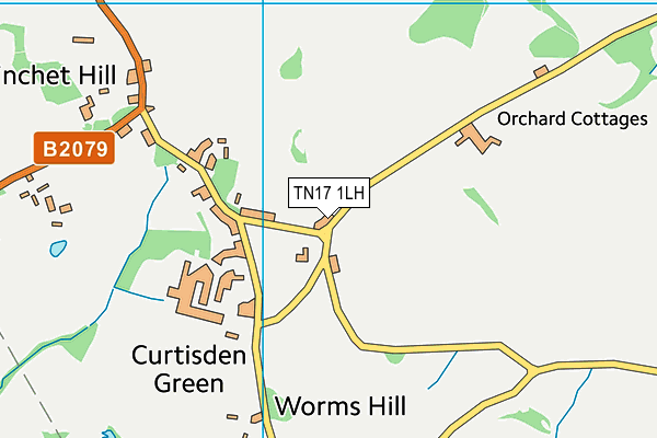 TN17 1LH map - OS VectorMap District (Ordnance Survey)