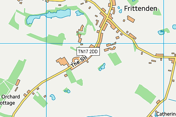 Frittenden Church of England Primary School map (TN17 2DD) - OS VectorMap District (Ordnance Survey)