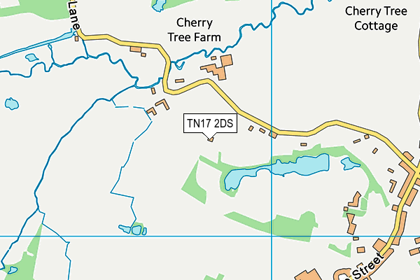 TN17 2DS map - OS VectorMap District (Ordnance Survey)