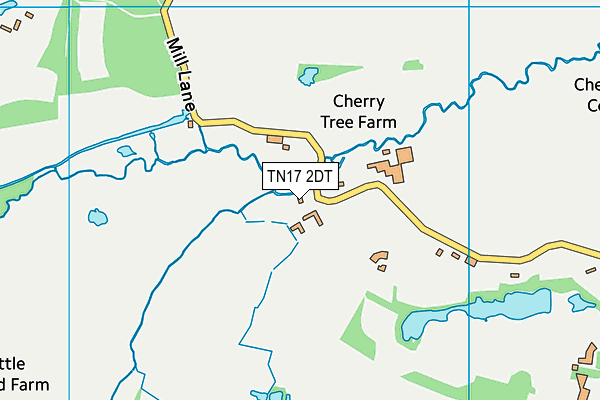 TN17 2DT map - OS VectorMap District (Ordnance Survey)