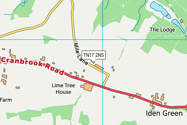 TN17 2NS map - OS VectorMap District (Ordnance Survey)