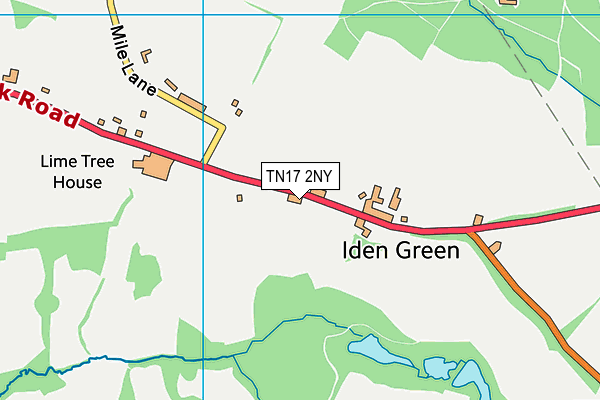 TN17 2NY map - OS VectorMap District (Ordnance Survey)