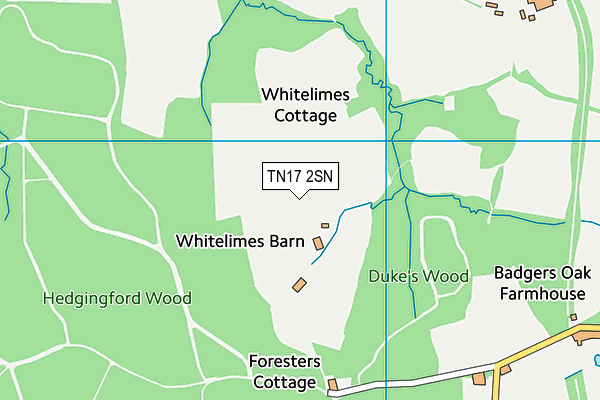 TN17 2SN map - OS VectorMap District (Ordnance Survey)