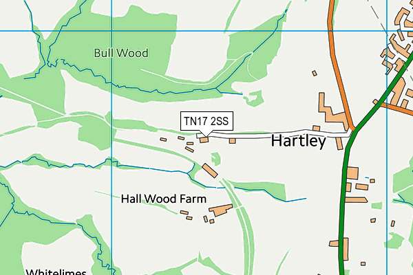 TN17 2SS map - OS VectorMap District (Ordnance Survey)