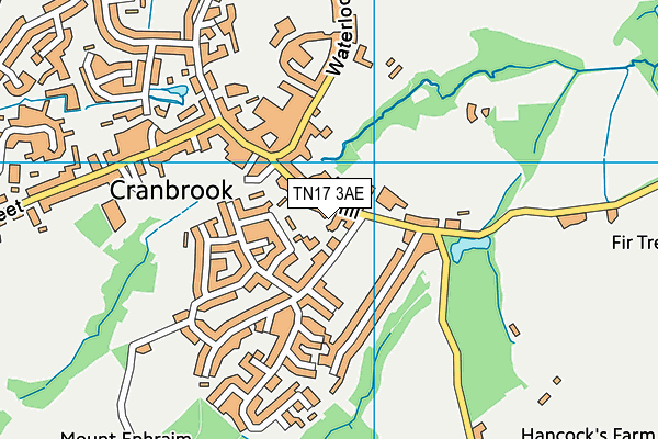 TN17 3AE map - OS VectorMap District (Ordnance Survey)