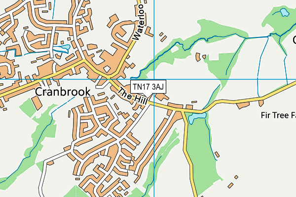 TN17 3AJ map - OS VectorMap District (Ordnance Survey)