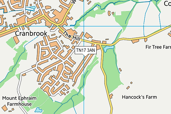 TN17 3AN map - OS VectorMap District (Ordnance Survey)