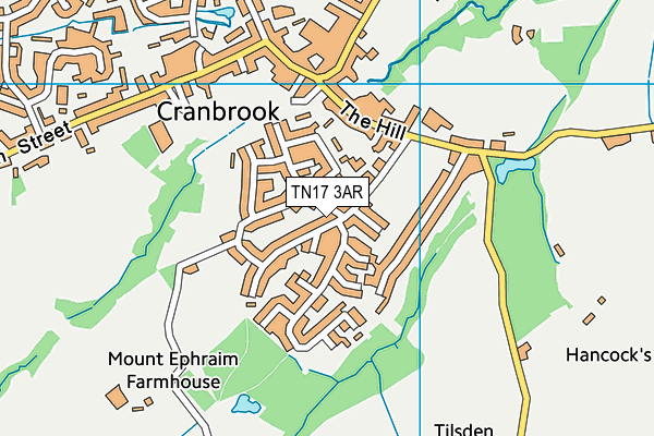 TN17 3AR map - OS VectorMap District (Ordnance Survey)
