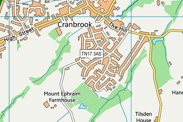 TN17 3AS map - OS VectorMap District (Ordnance Survey)