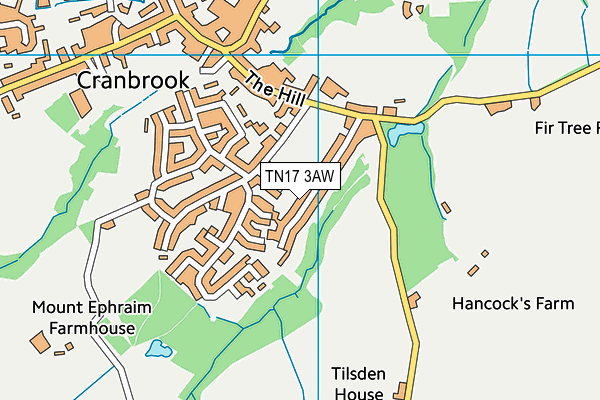 TN17 3AW map - OS VectorMap District (Ordnance Survey)