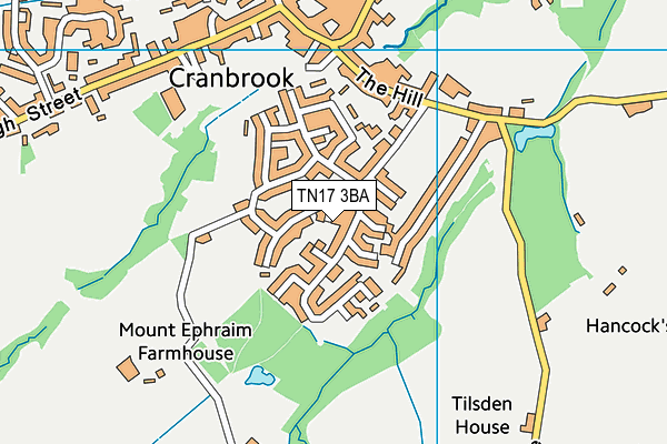 TN17 3BA map - OS VectorMap District (Ordnance Survey)