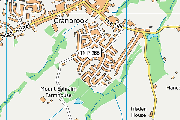 TN17 3BB map - OS VectorMap District (Ordnance Survey)