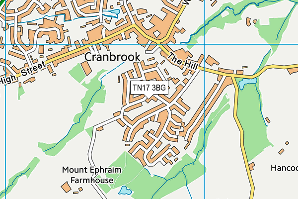 TN17 3BG map - OS VectorMap District (Ordnance Survey)