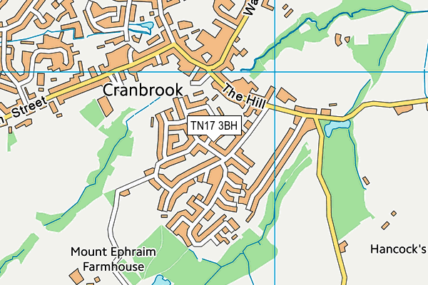 TN17 3BH map - OS VectorMap District (Ordnance Survey)