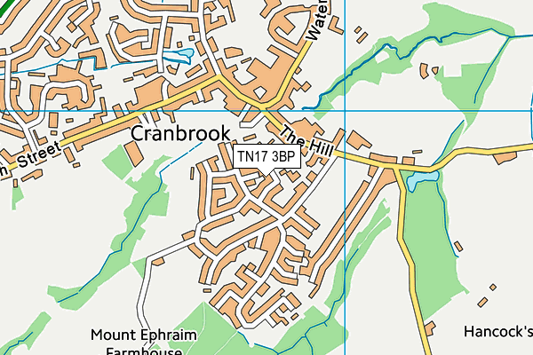 TN17 3BP map - OS VectorMap District (Ordnance Survey)