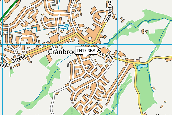 TN17 3BS map - OS VectorMap District (Ordnance Survey)