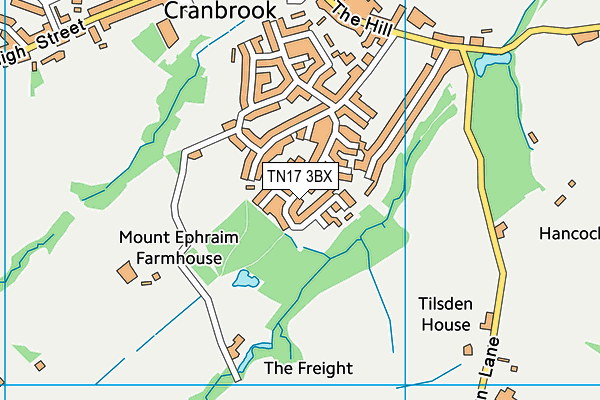 TN17 3BX map - OS VectorMap District (Ordnance Survey)