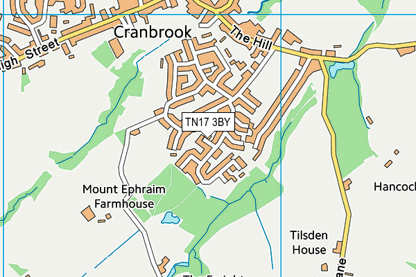 TN17 3BY map - OS VectorMap District (Ordnance Survey)