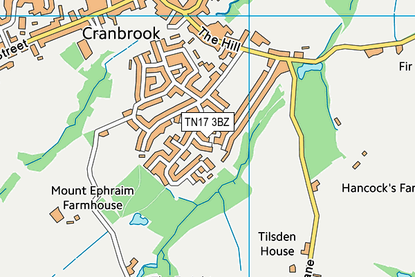 TN17 3BZ map - OS VectorMap District (Ordnance Survey)