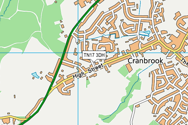 TN17 3DH map - OS VectorMap District (Ordnance Survey)