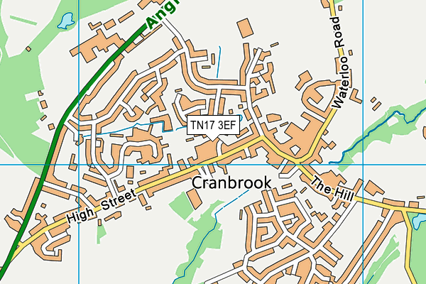 TN17 3EF map - OS VectorMap District (Ordnance Survey)