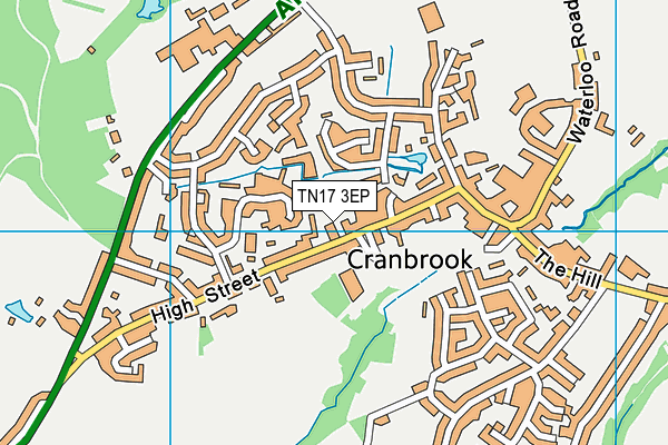 TN17 3EP map - OS VectorMap District (Ordnance Survey)