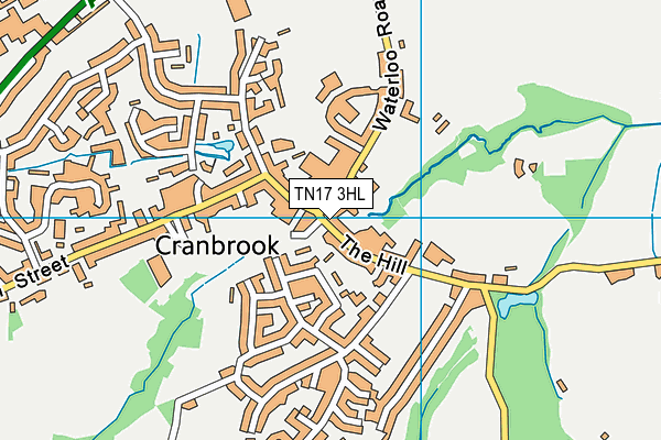 TN17 3HL map - OS VectorMap District (Ordnance Survey)