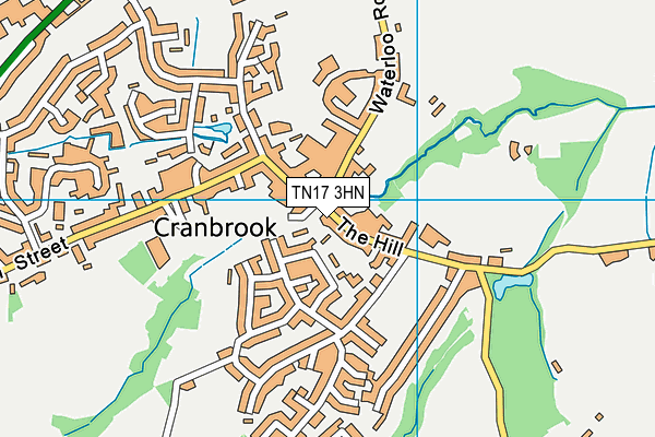TN17 3HN map - OS VectorMap District (Ordnance Survey)
