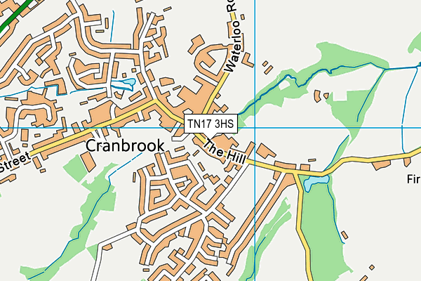 TN17 3HS map - OS VectorMap District (Ordnance Survey)
