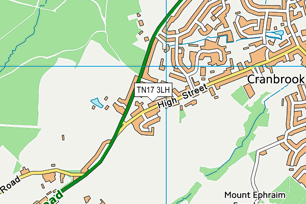 TN17 3LH map - OS VectorMap District (Ordnance Survey)