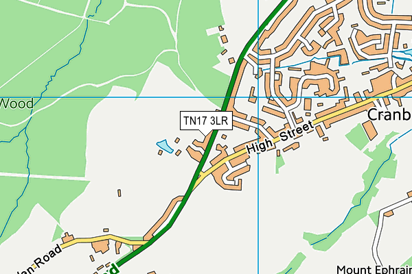 TN17 3LR map - OS VectorMap District (Ordnance Survey)