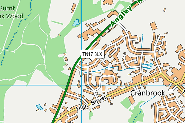 TN17 3LX map - OS VectorMap District (Ordnance Survey)
